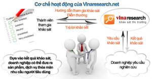 Vina Research, Khảo Sát Kiếm Tiền Trực Tuyến Của Việt Nam