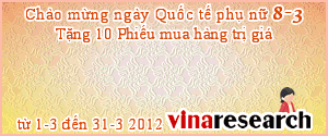 Vina Research, Khảo Sát Kiếm Tiền Trực Tuyến Của Việt Nam