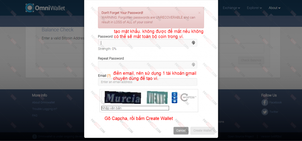 Điền mật khẩu và email