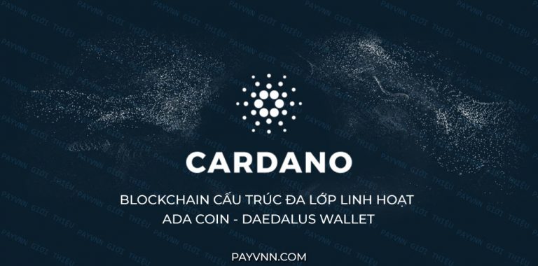 Cardano ADA Là Gì? Giới Thiệu Nền Tảng Blockchain Tài Chính Cardano