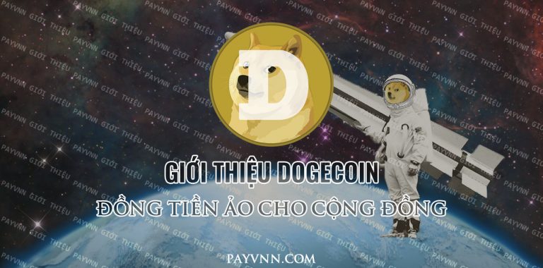 Dogecoin DOGE Là Gì? Tìm Hiểu Đồng Tiền Mã Hóa Cho Cộng Đồng DOGE