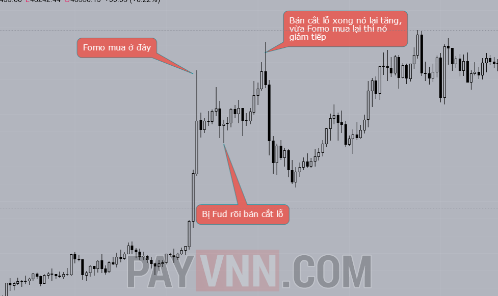 Diễn biến tâm lý của một trader bị ảnh hưởng bởi Fomo và Fud