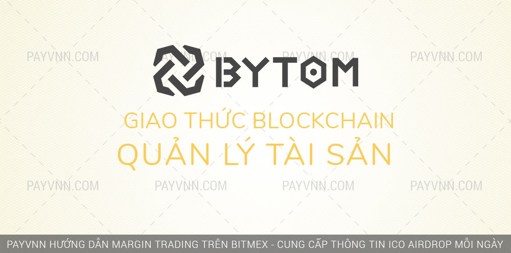 PayVNN Gioi Thieu ByTom