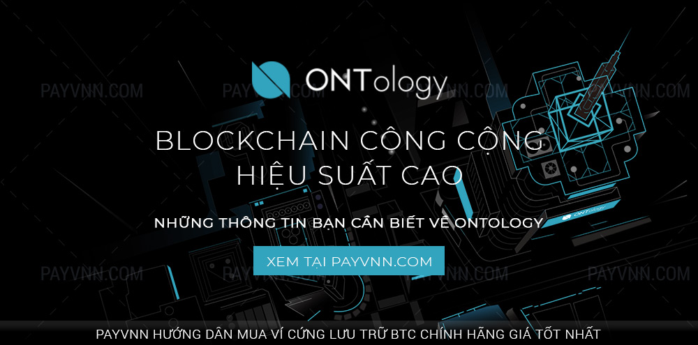 PayVNN-Giới-Thiệu-blockchain-Ontology