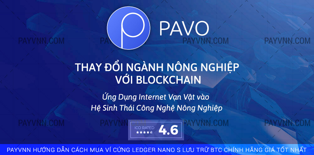 PayVNN Giới thiệu dự án ICO PAVOCOIN