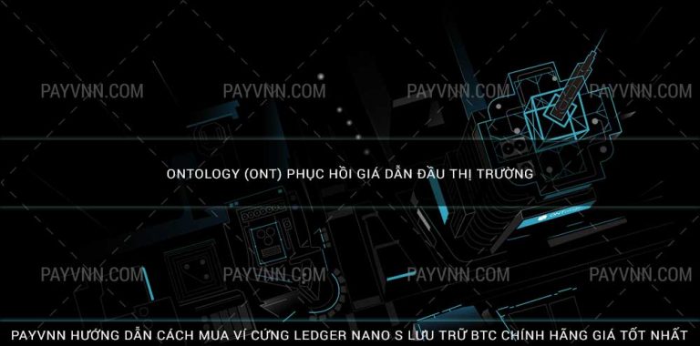 Ontology (ONT) Phục Hồi Giá Dẫn Đầu Thị Trường