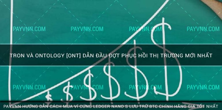 TRON và Ontology [ONT] Dẫn Đầu Đợt Phục Hồi Thị Trường Mới Nhất