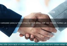 Cardano (ADA) & TRON (TRX) có khả năng hợp tác trong tương lai Cardano (ADA) & TRON (TRX) có khả năng hợp tác trong tương laiCardano (ADA) & TRON (TRX) có khả năng hợp tác trong tương lai